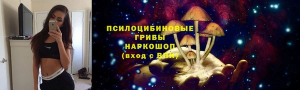 крисы Михайловка