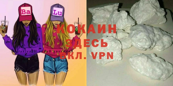 ГАЛЛЮЦИНОГЕННЫЕ ГРИБЫ Пересвет
