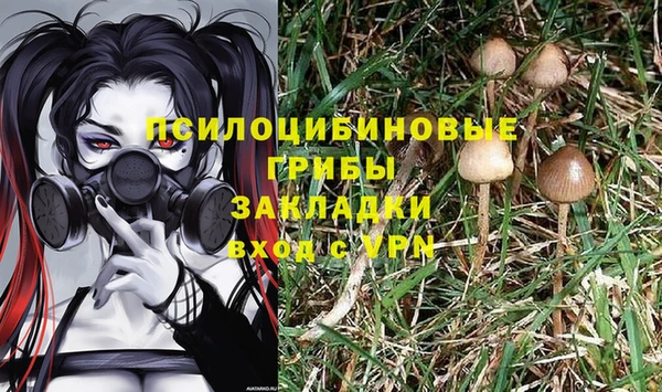 шишки Медвежьегорск