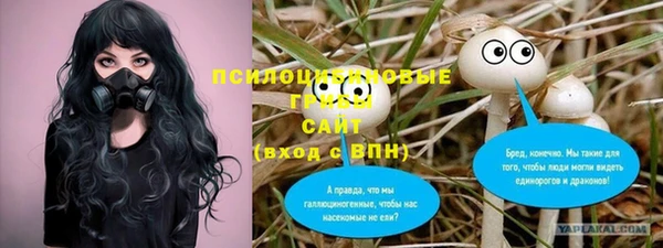 a pvp Михайловск