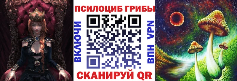 сколько стоит  Обнинск  Галлюциногенные грибы Psilocybine cubensis 