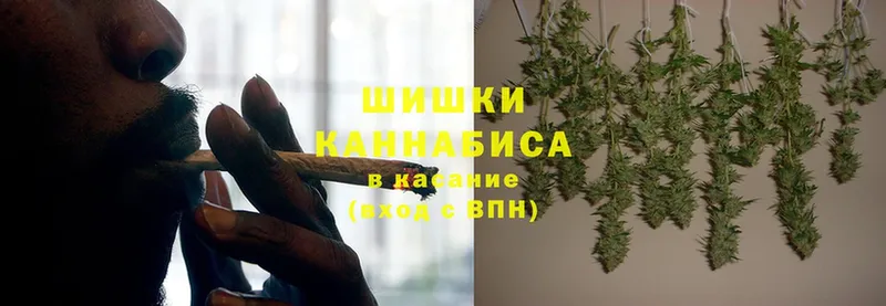 OMG   Обнинск  Каннабис Amnesia  купить  